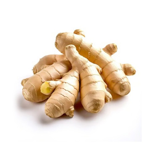 Fresh Premium Ginger